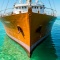 Научный прорыв: создано экологичное морское покрытие с тройной защитой